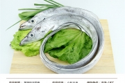 東海野生新鮮帶魚